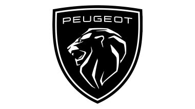 Traverses universelle pour PEUGEOT