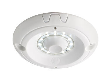 Plafonnier en applique IRIZIUM PX 300 (1)